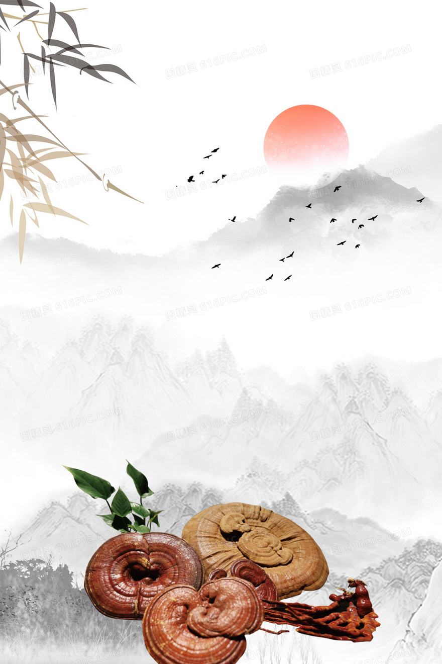 中国风中医养生灵芝背景