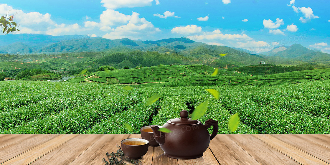 小清新茶山摄影合成背景