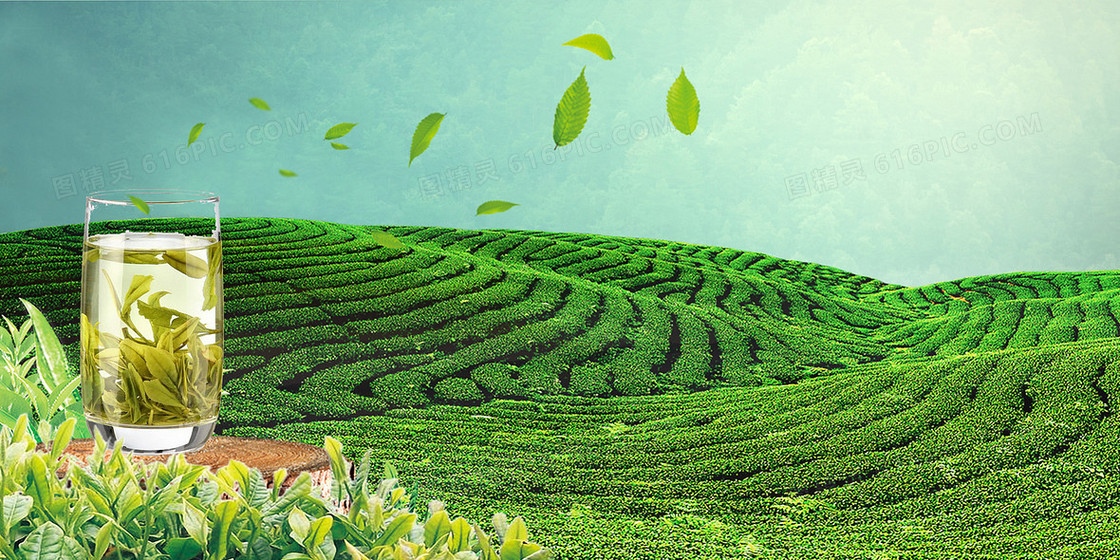 清新茶山健康养生背景