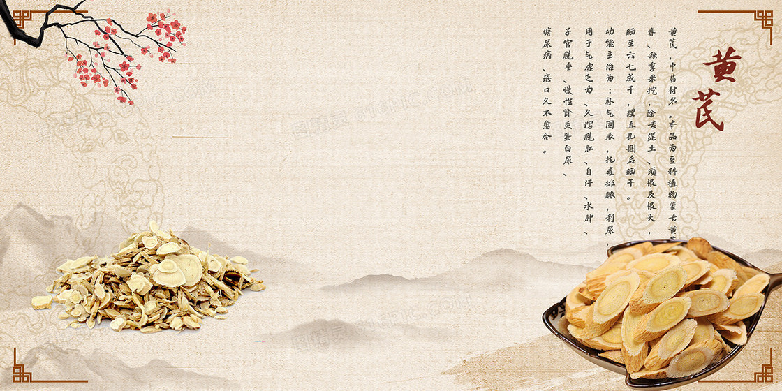 中药黄芪滋补养身中药材中医背景