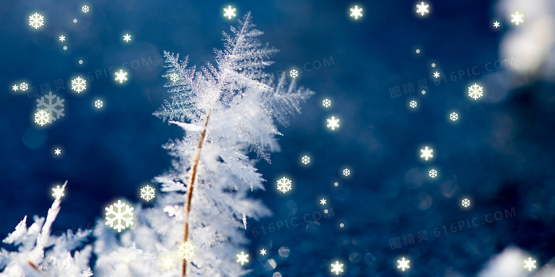 蓝色大气摄影合成冰花雪花背景