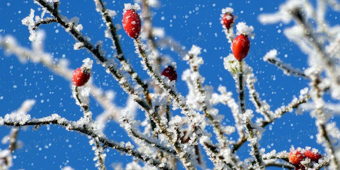 蓝色清新摄影合成冰天雪地背景