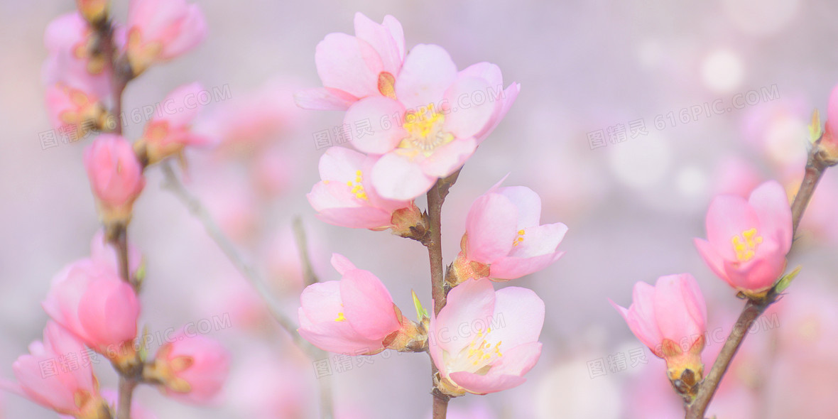 唯美梦幻小清新桃花春天摄影合成背景