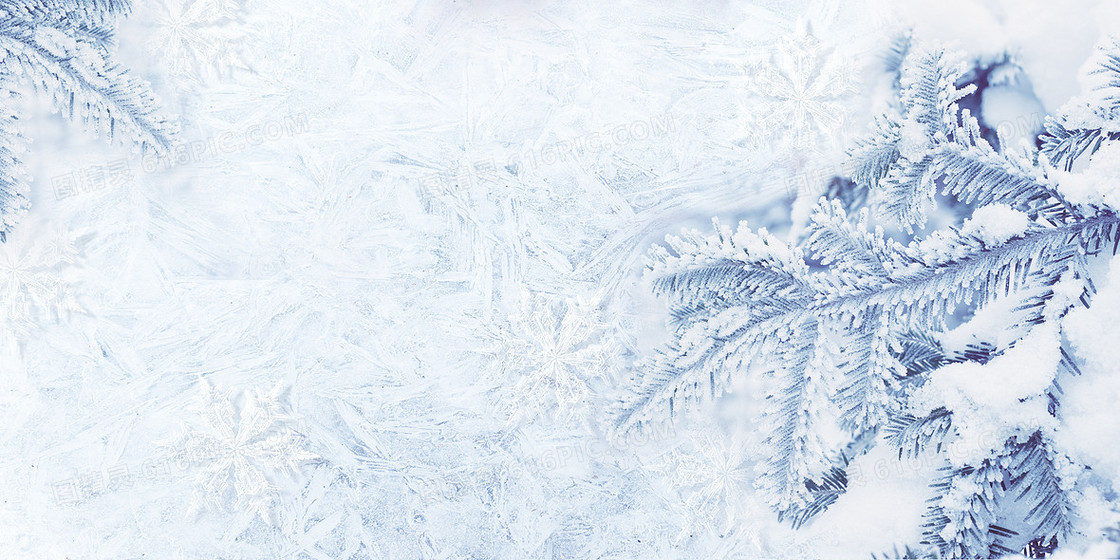 冰雪奇缘寒冷冬季冰雪雪松背景