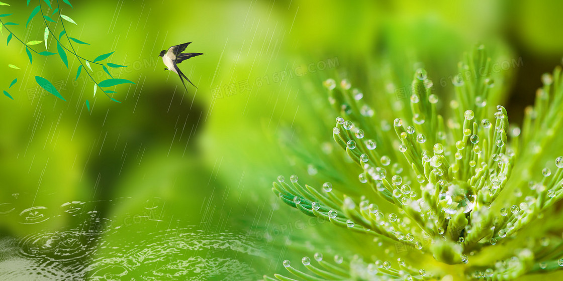 谷雨节气绿色清新摄影图合成柳叶燕子背景