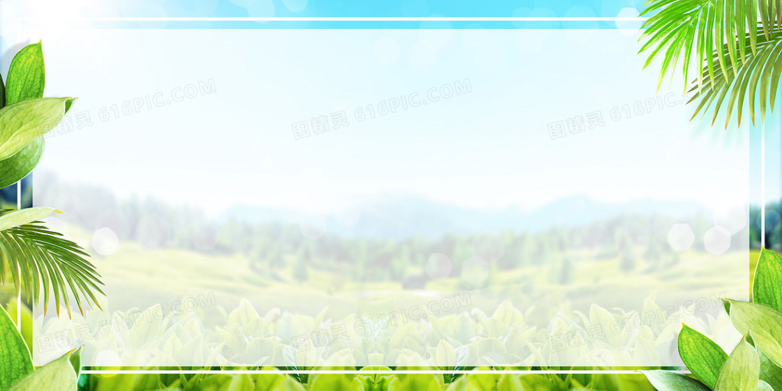 绿植清新夏天夏日植物边框背景