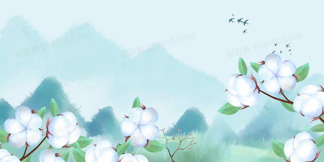 棉花植物钢笔淡彩插画风格背景