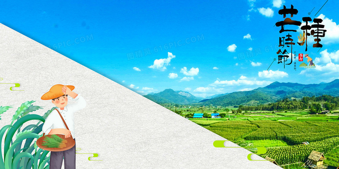 芒种摄影合成效果节气海报背景