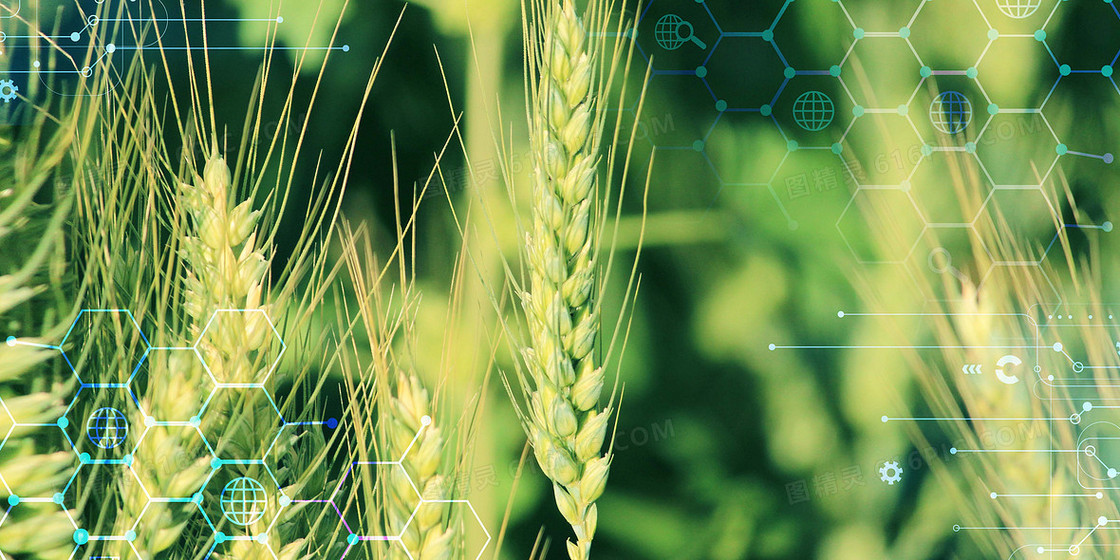 智慧农业创意绿色摄影合成大数据管理背景