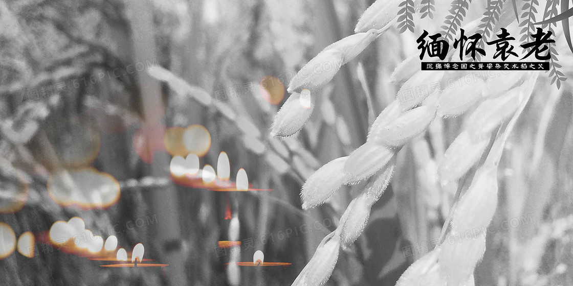 缅怀袁老悼念英雄黑白水稻摄影合成背景