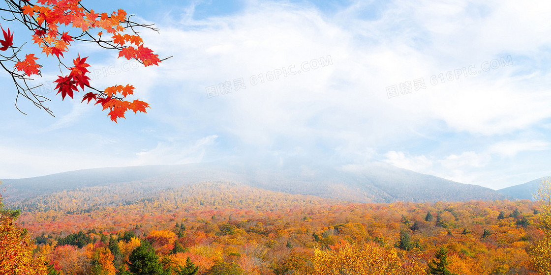 大气立秋节气摄影合成背景