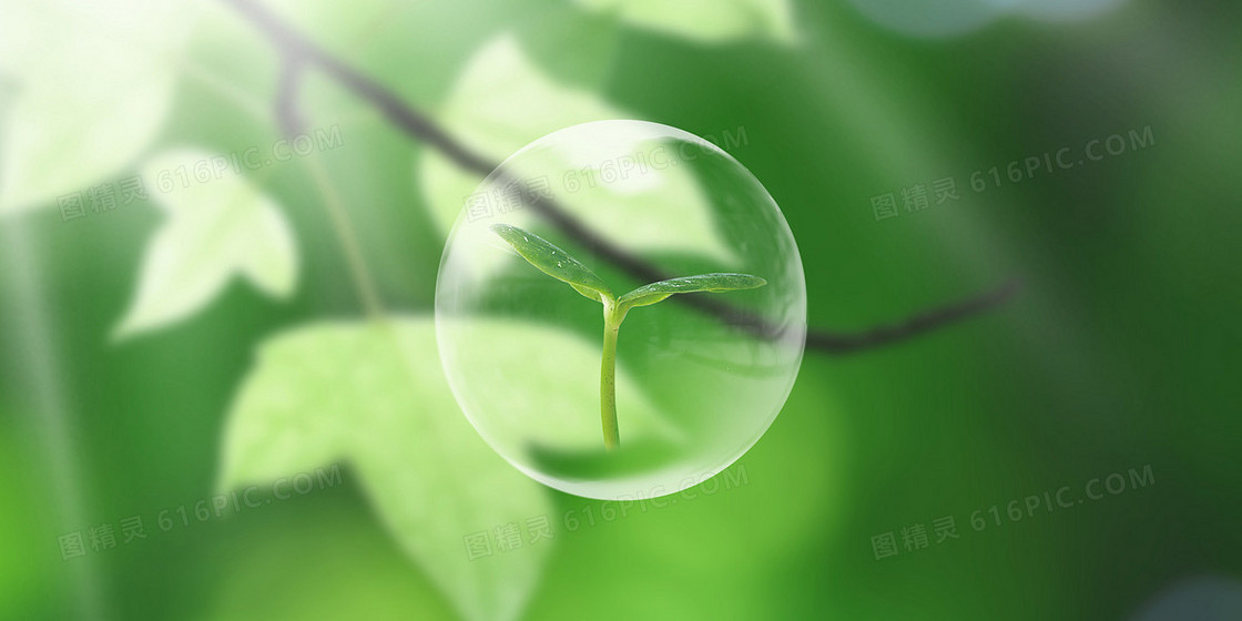 绿色系简约小清新风希望摄影合成背景