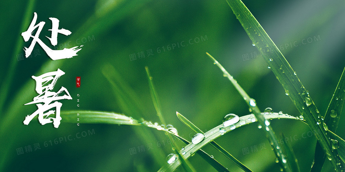 绿色简约风处暑节气摄影图合成背景