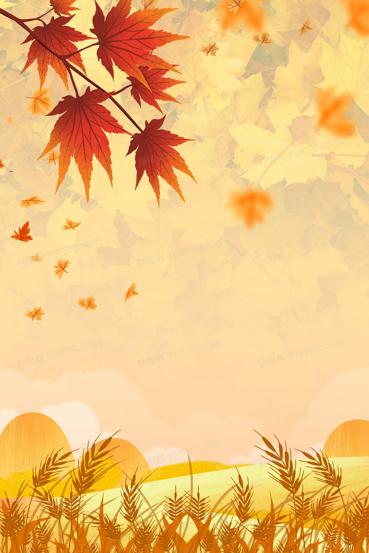 秋日枫叶落叶植物手绘摄影合成背景