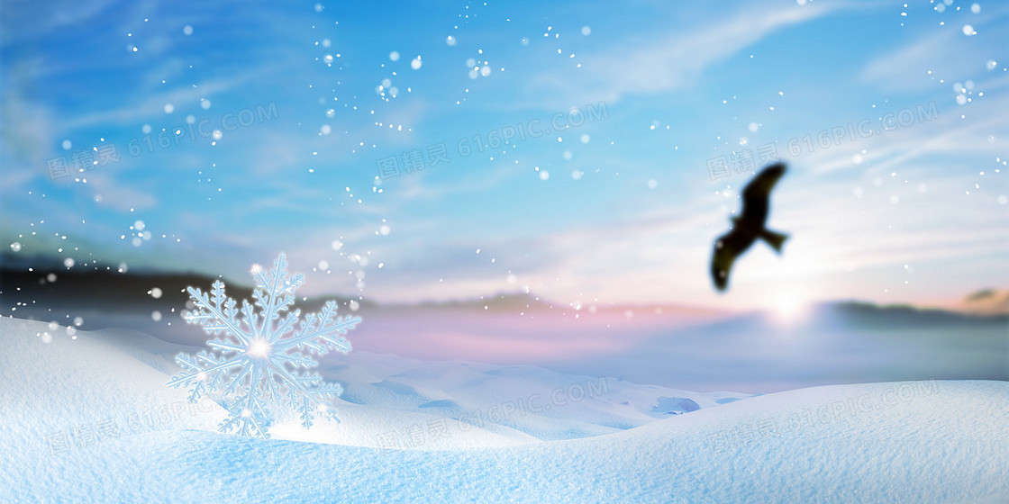 冬季雪地雪花立冬摄影合成背景