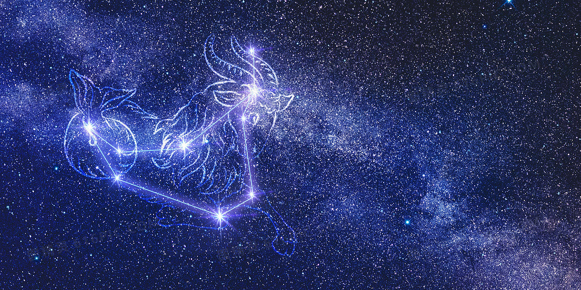 摩羯座星象图片