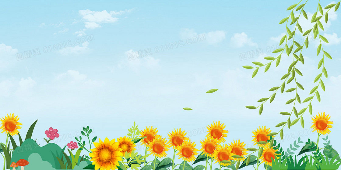 小清新向日葵花田插画背景