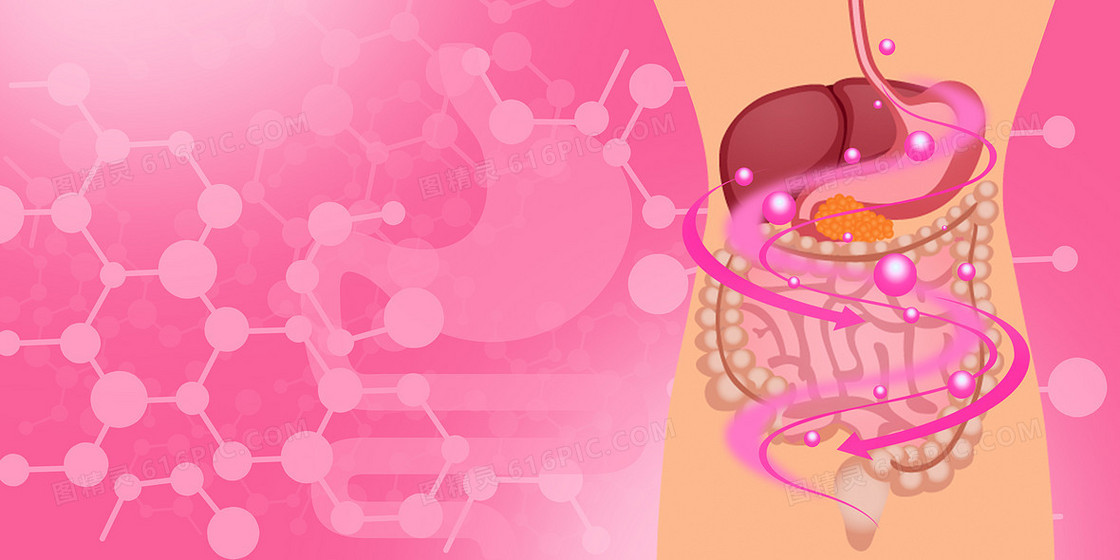 卡通医疗促进肠道健康益生菌背景
