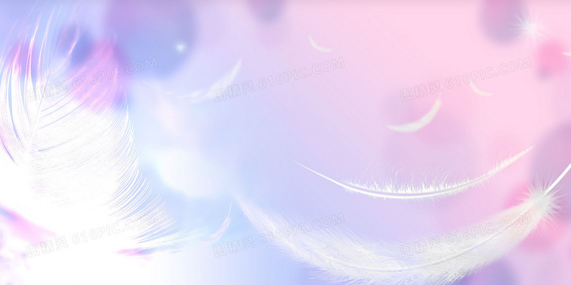 粉紫梦幻羽毛背景