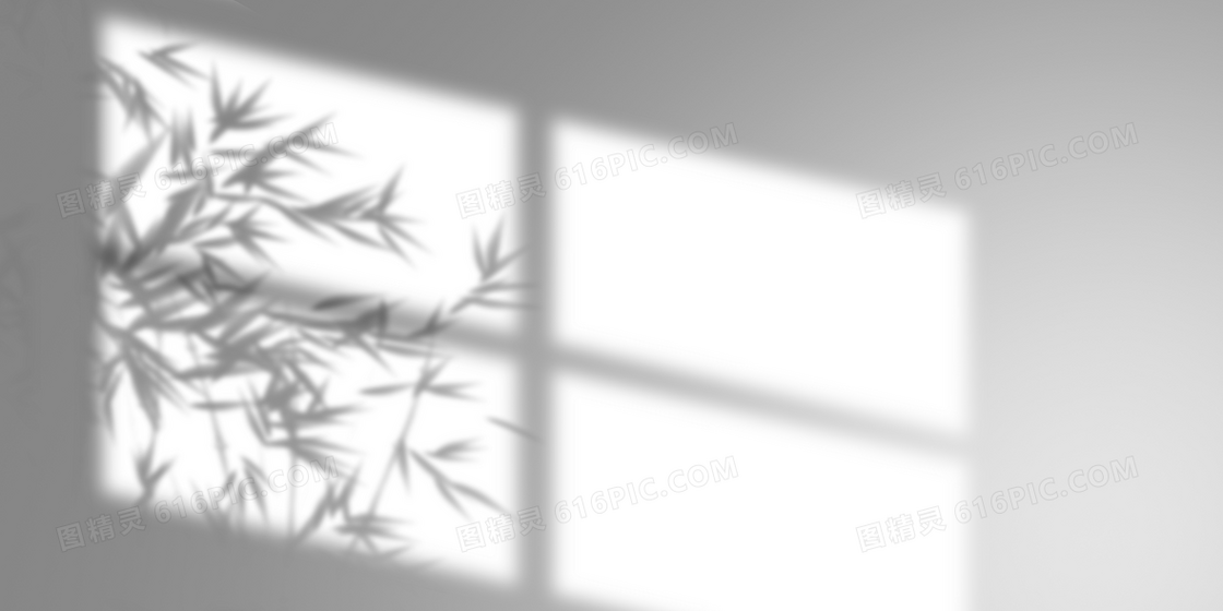 简约墙面窗户植物光影背景
