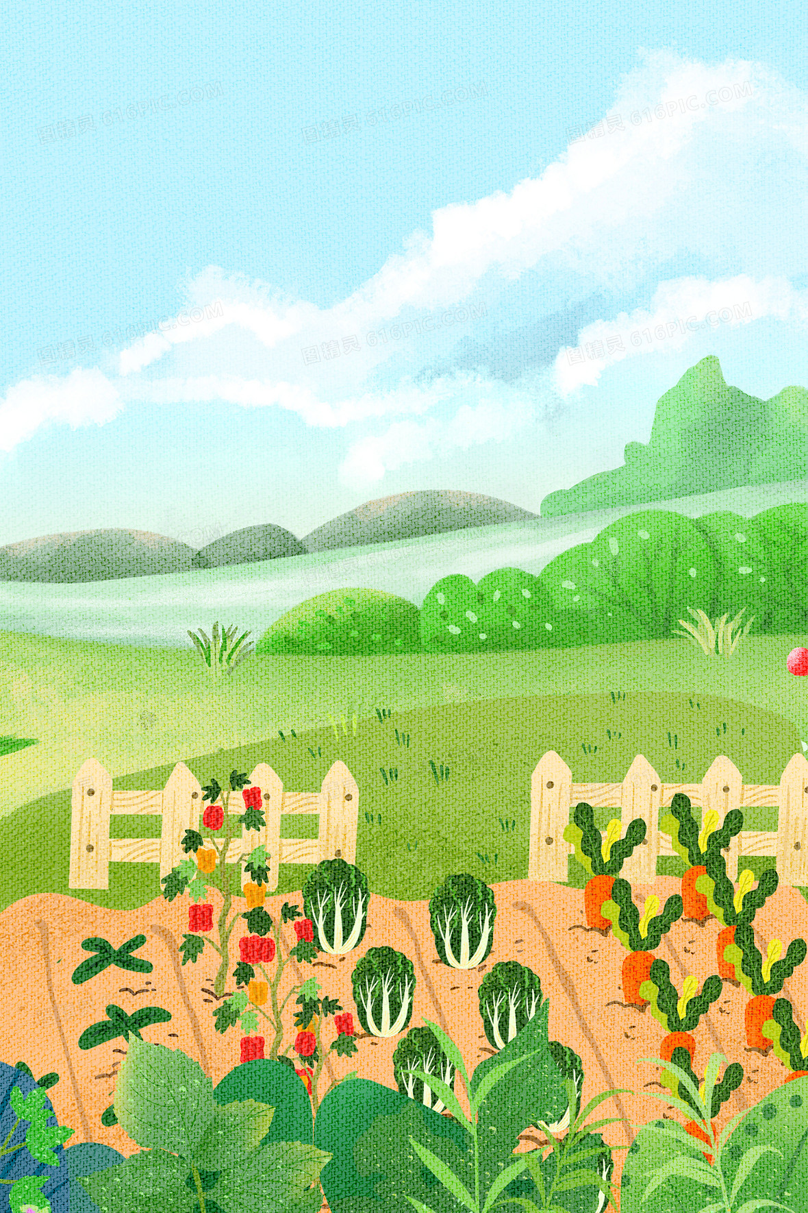 手绘卡通蔬菜园背景