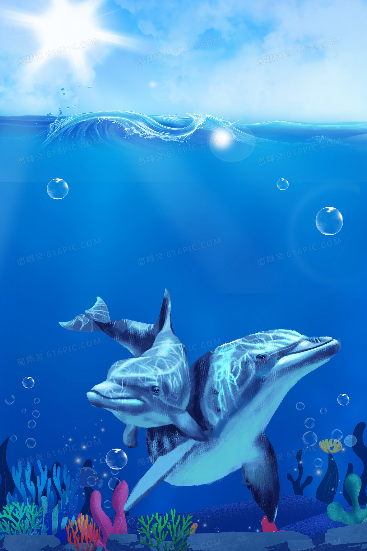 海洋生物背景图片下载_免费高清海洋生物背景设计素材_图精灵