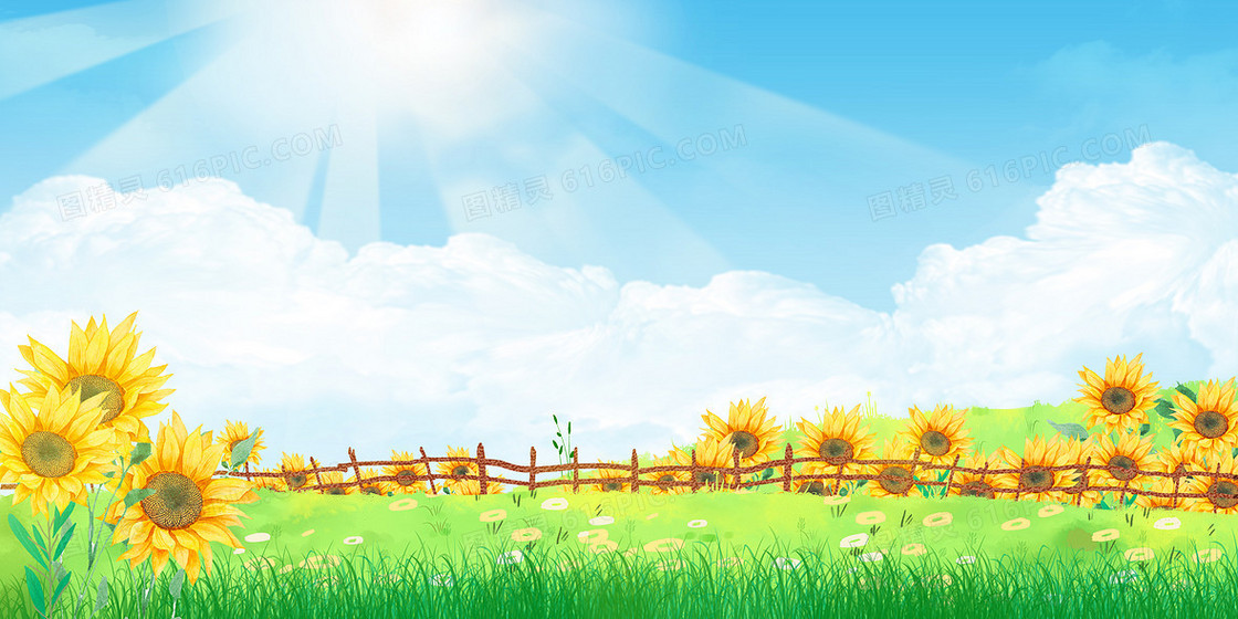 手绘插画风蓝天白云向日葵花田背景
