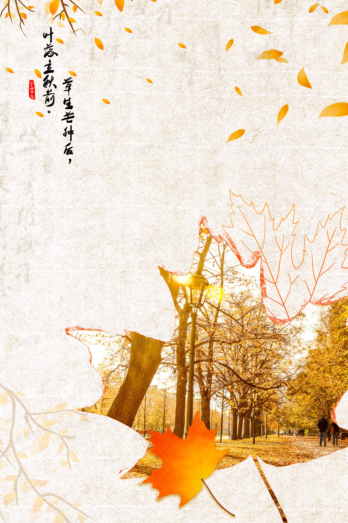 秋分摄影合成树叶节气背景