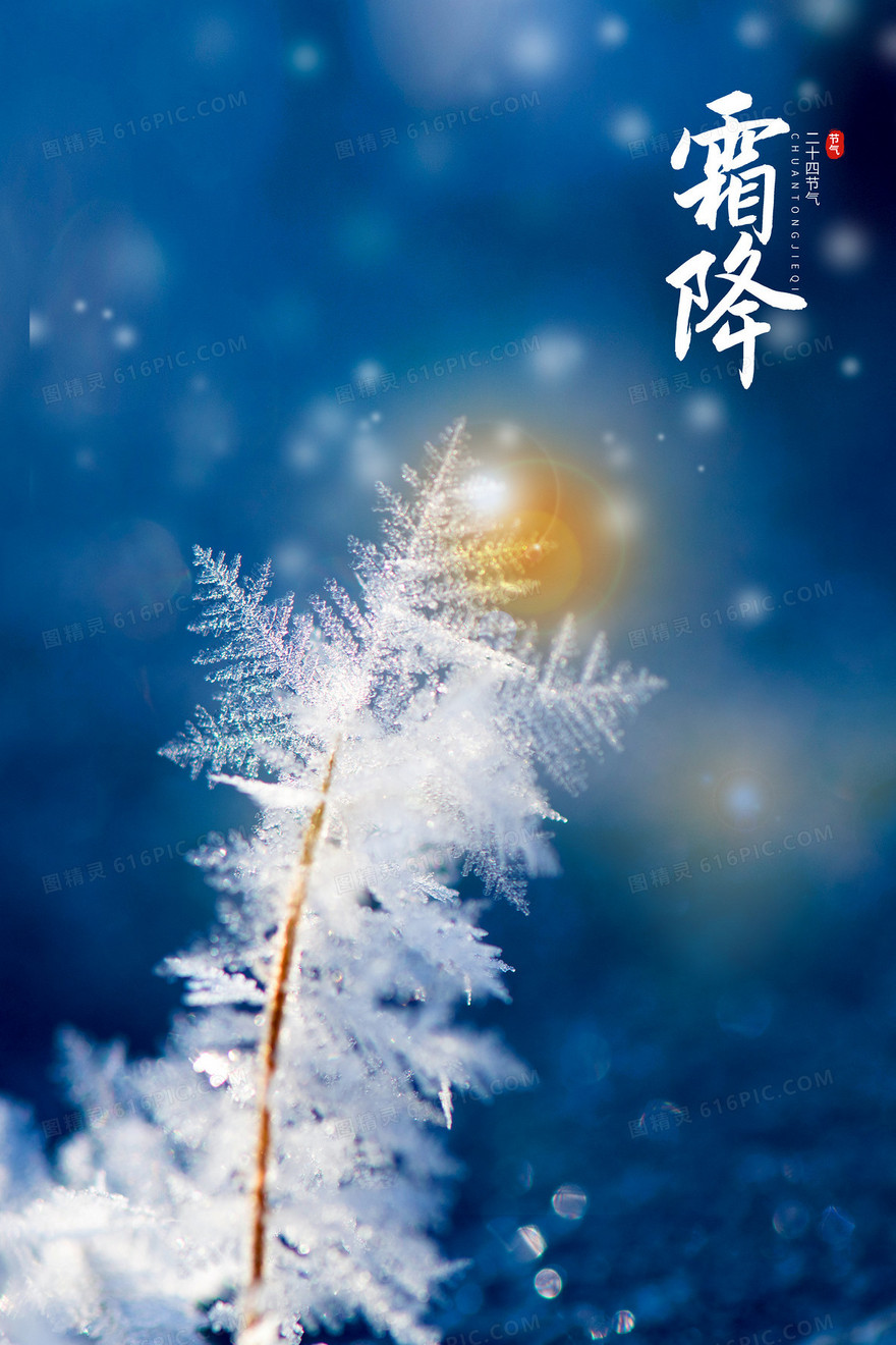唯美摄影合成霜降简约节气背景