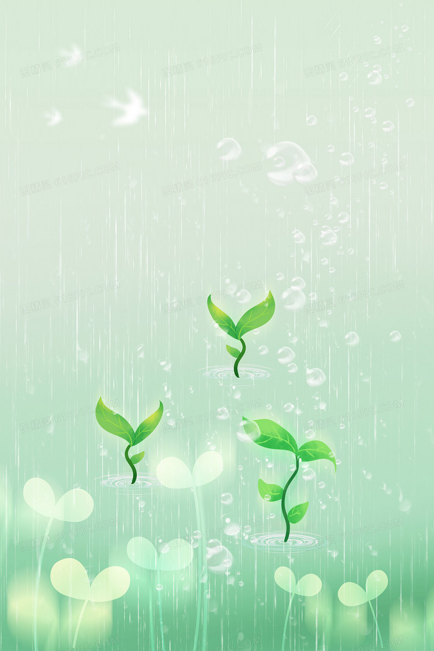 雨水滴落小树苗背景
