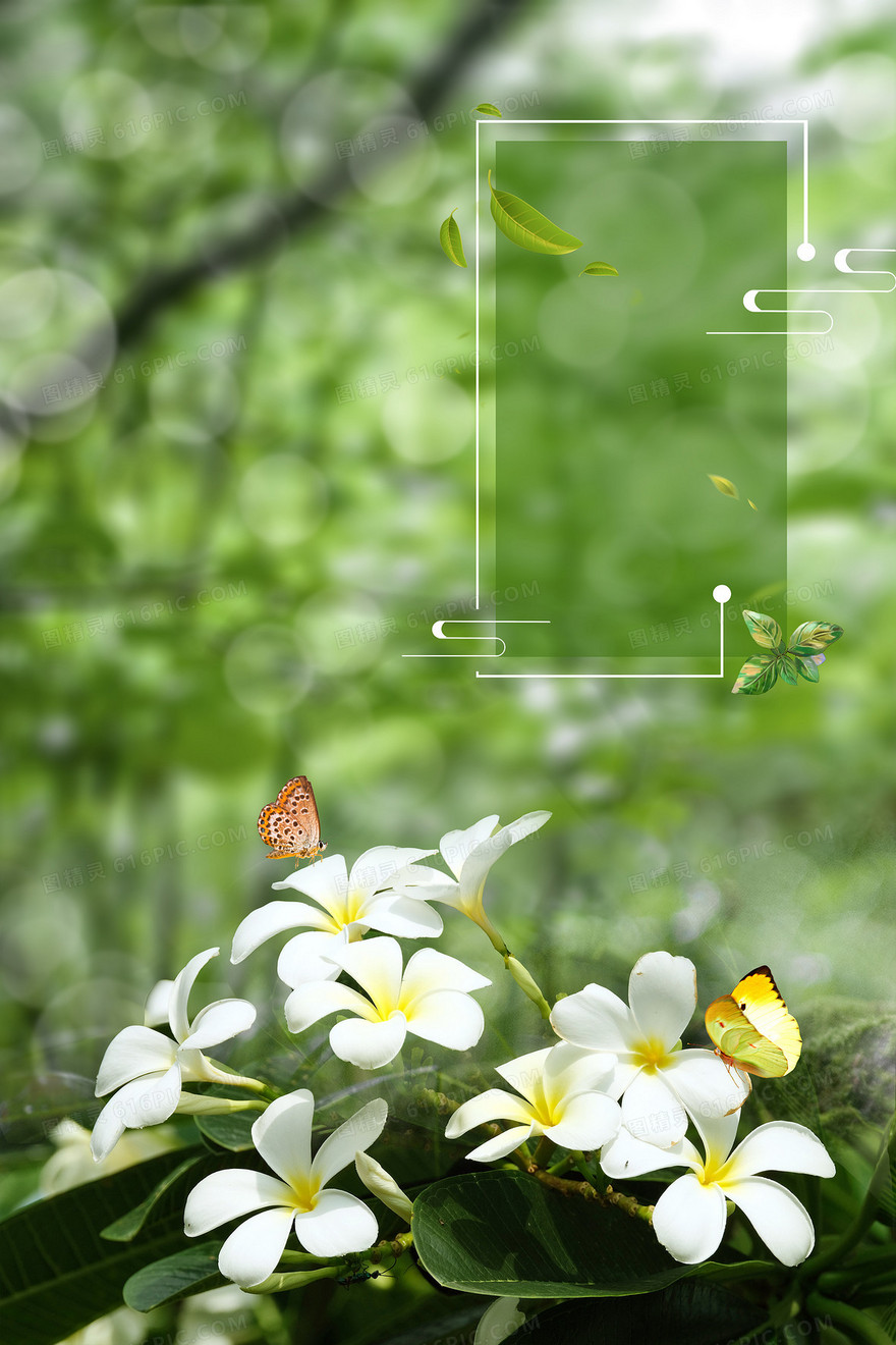 春分春天花朵植物蝴蝶摄影图合成背景