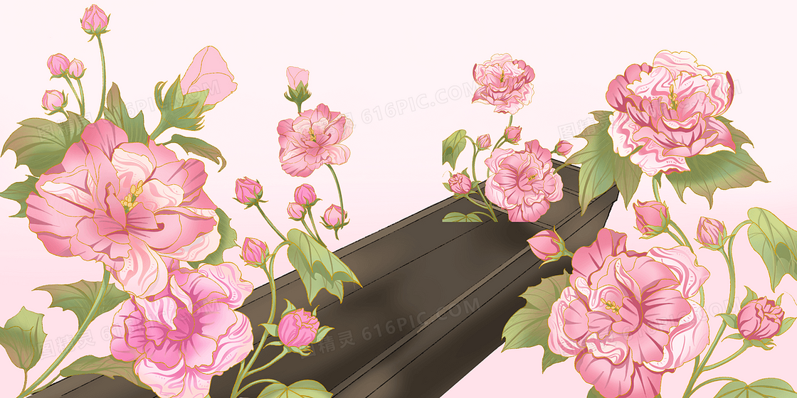 粉色免抠十月芙蓉花手绘背景