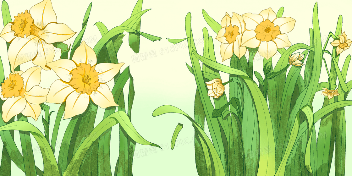 绿色免抠十二月水仙花手绘背景