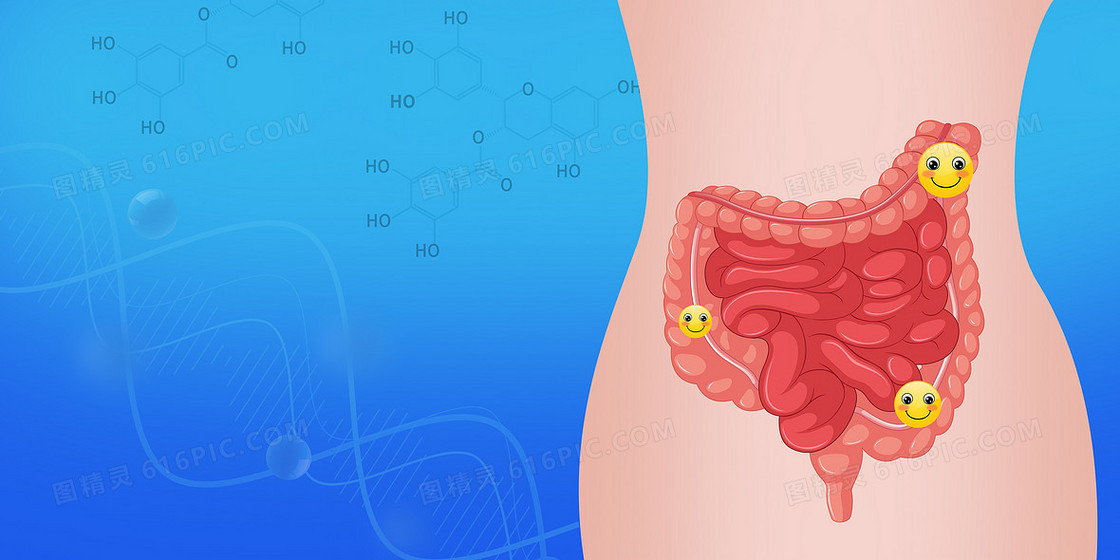 世界肠道健康日肠胃背景
