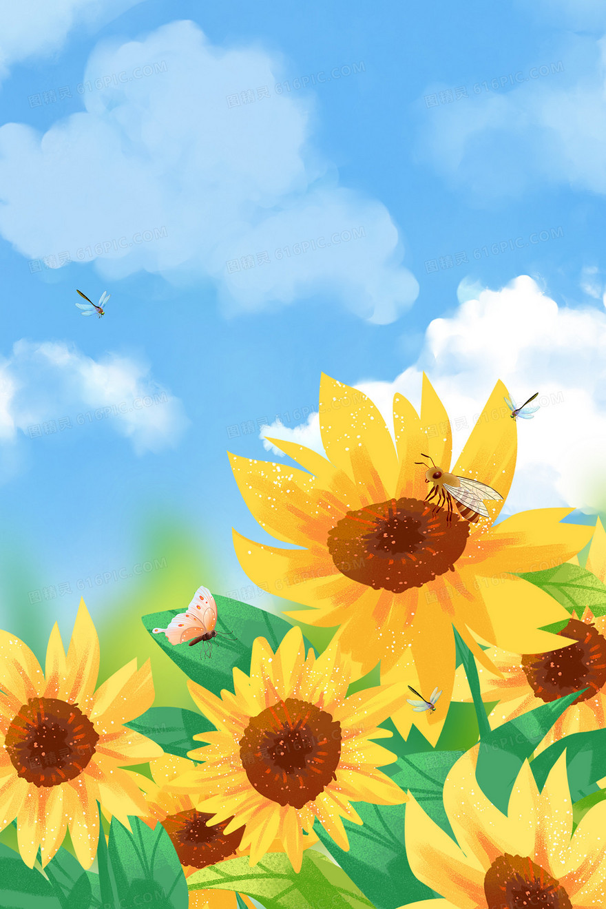 插画风夏日向日葵背景