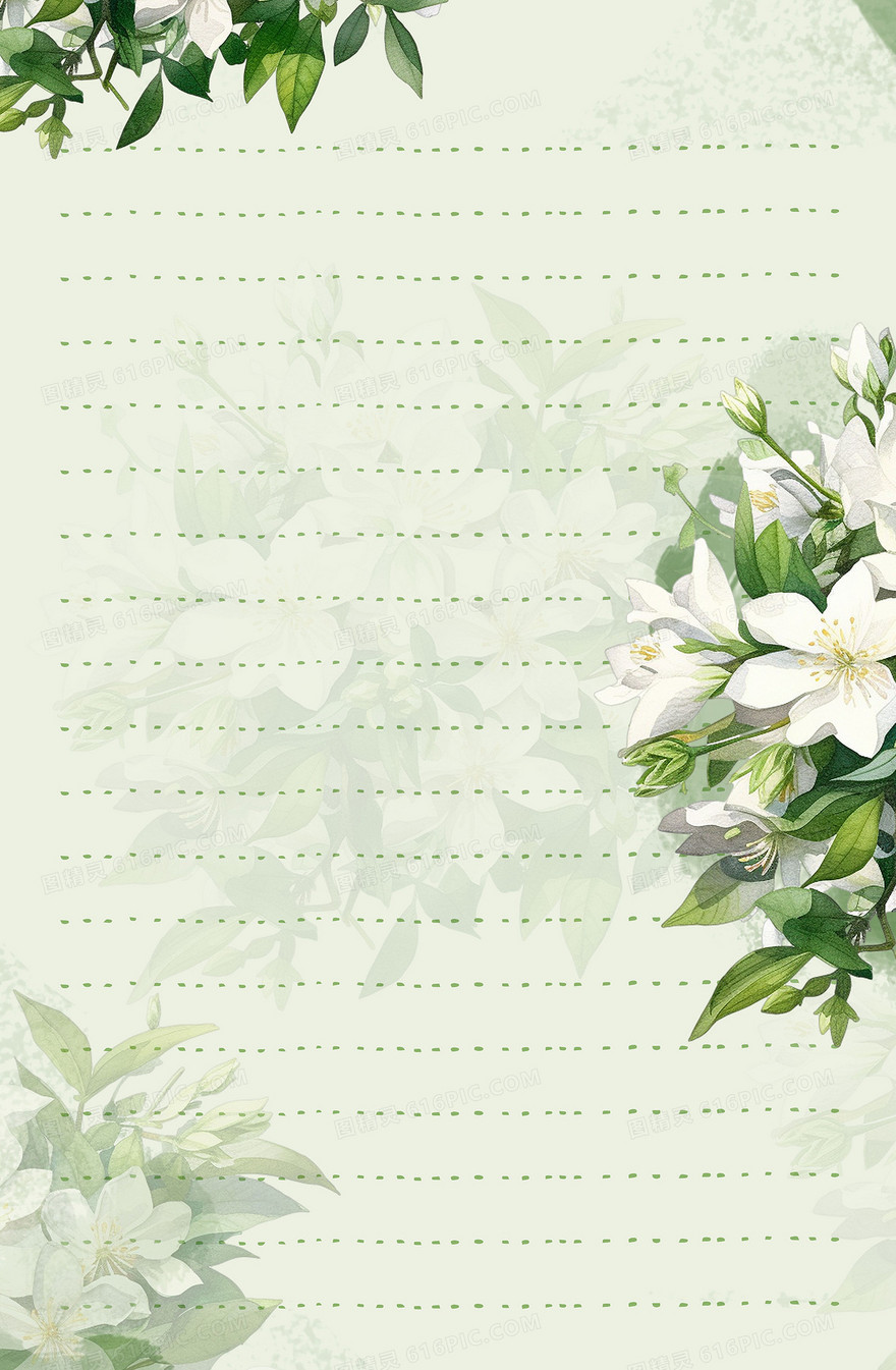 小清新茉莉花信封背景