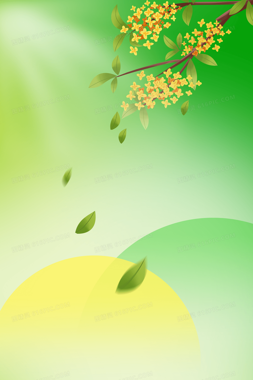 清新桂花背景