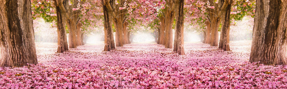 花朵树木banner