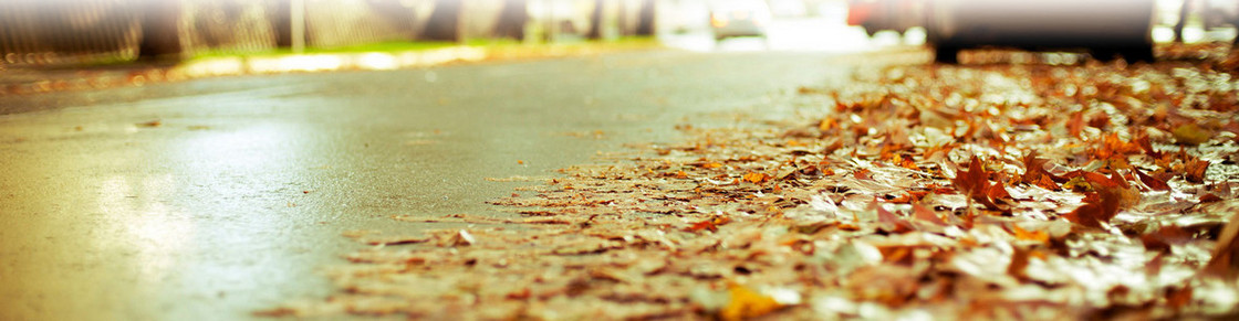 渲染背景banner