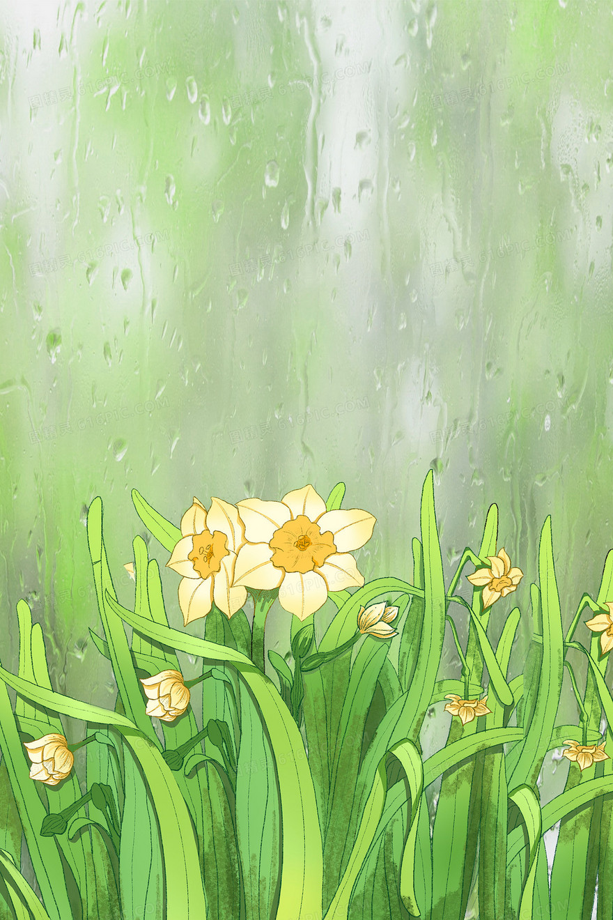 绿色手绘小清新水仙合成背景