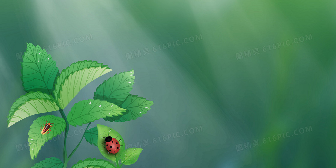 绿色植物惊蛰节气春天背景