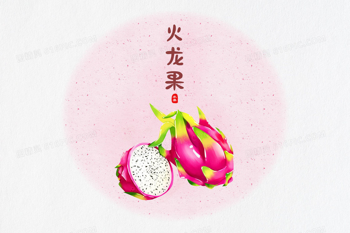 火龙果水果插画