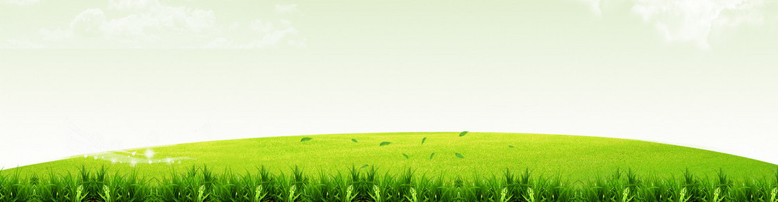 草地 背景 banner