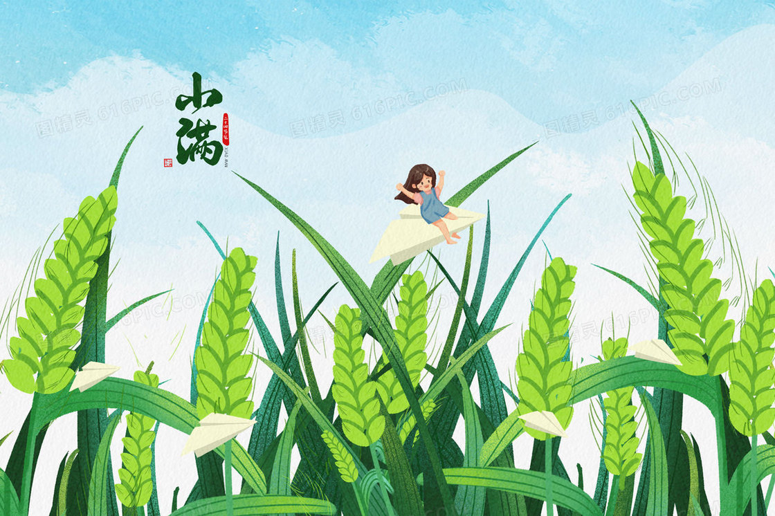 唯美清新小满节气女孩在麦穗中穿梭插画