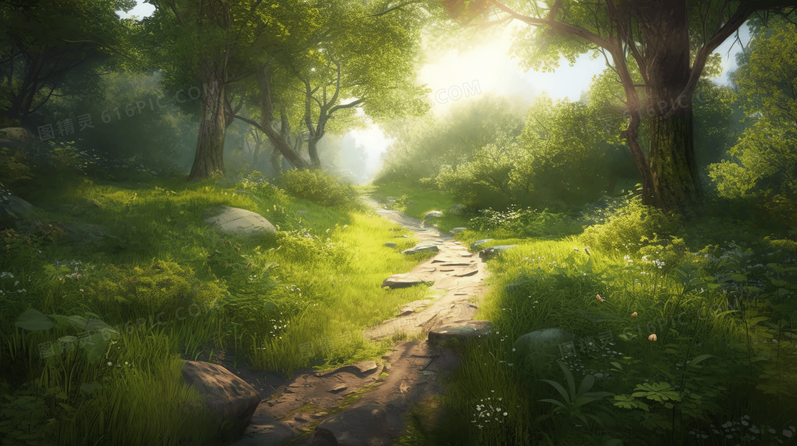 宁静森林中一条平缓蜿蜒的小路自然风景插画
