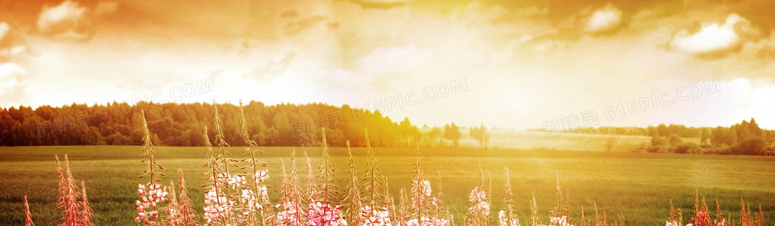 女装BANNER