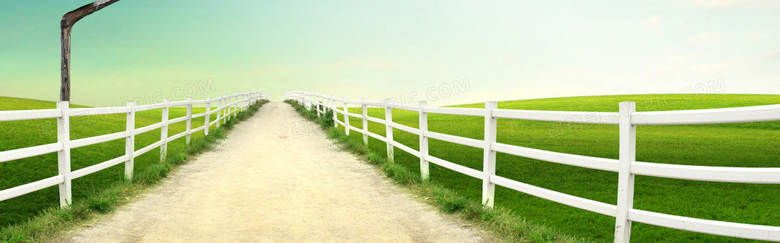 毕业季小清新道路海报banner