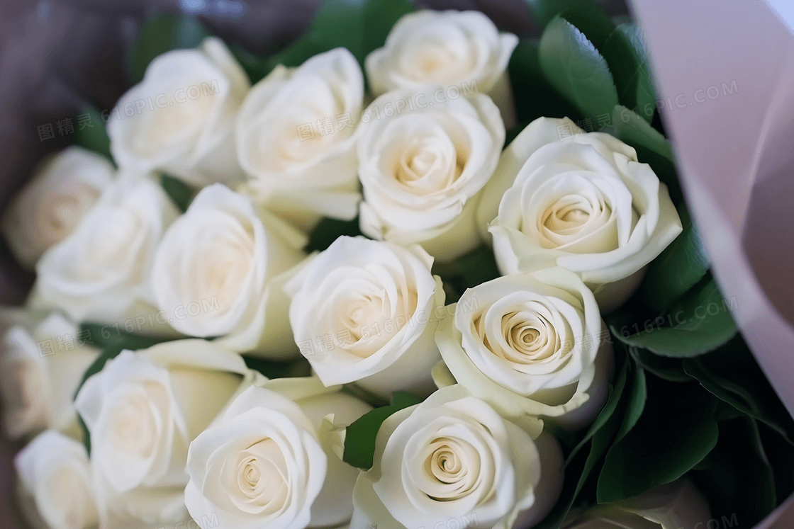 桌面上有一束含苞欲放的白玫瑰