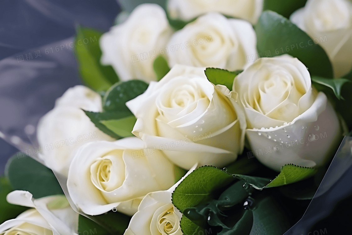 沾满水珠的白玫瑰花束