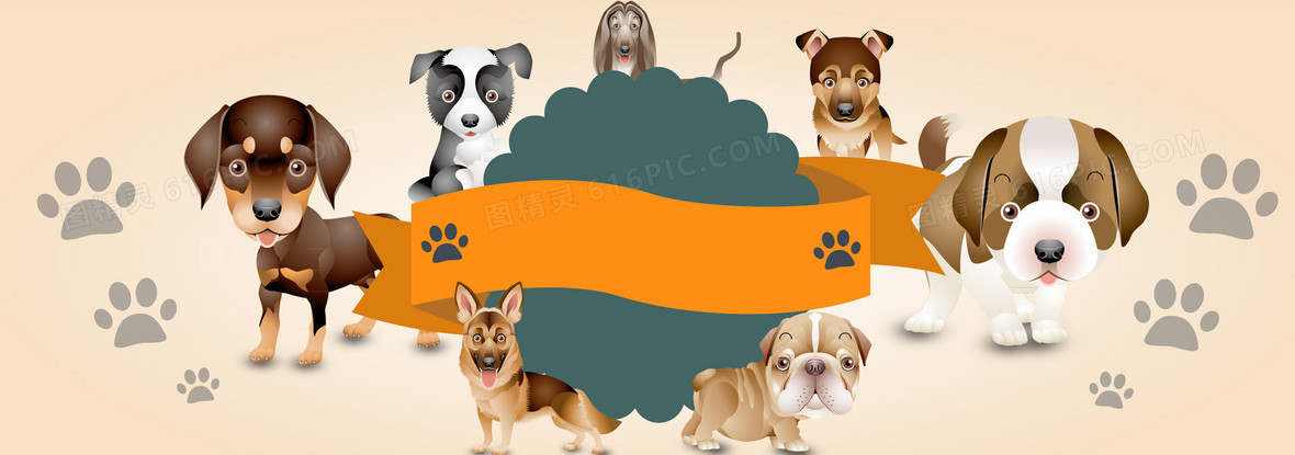 宠物狗狗背景图片下载 免费高清宠物狗狗背景设计素材 图精灵